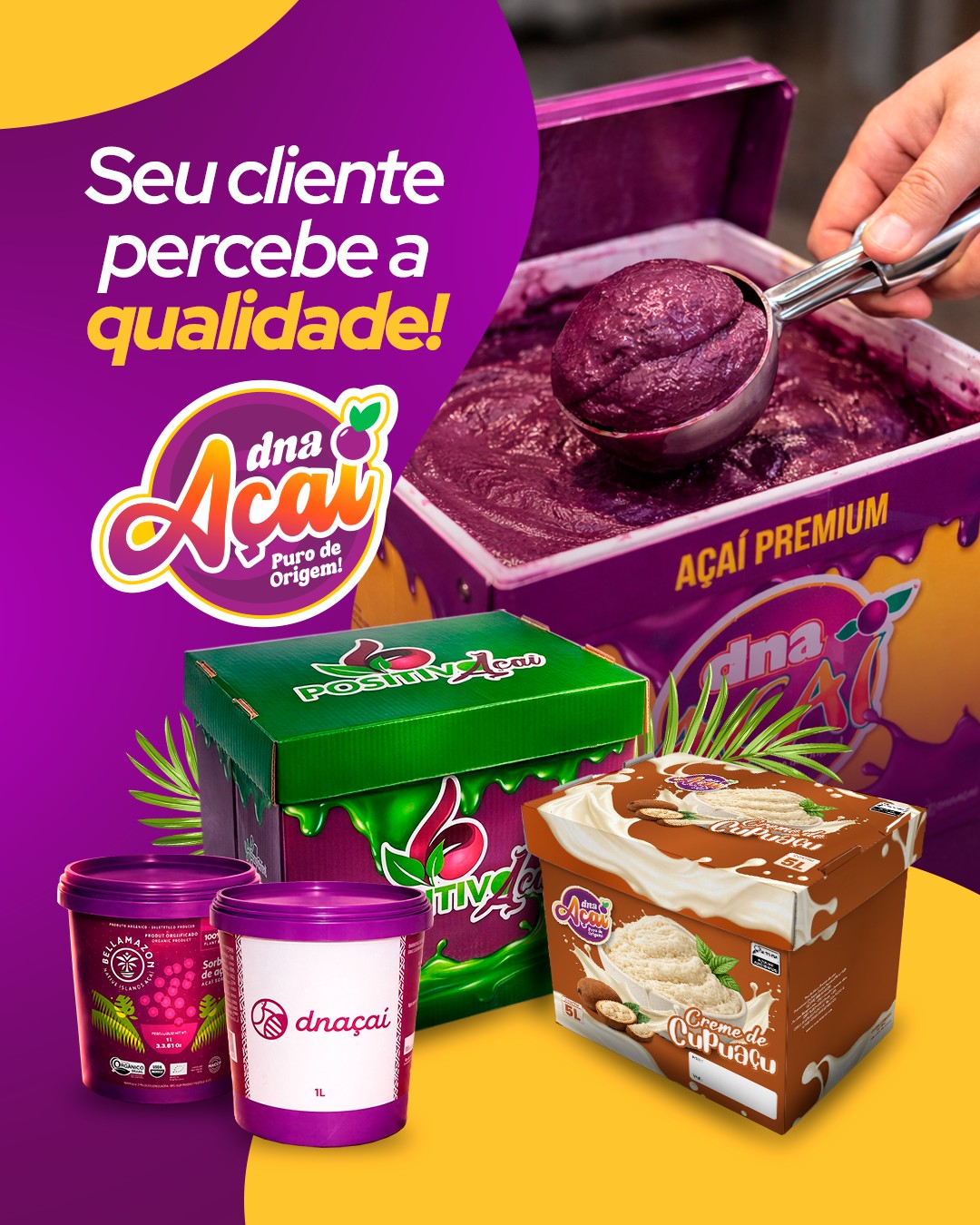 Post Instagram DNA Açaí 1