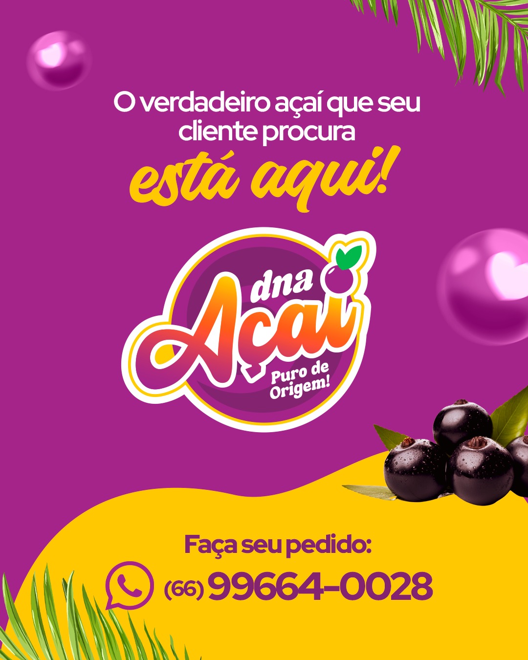 Post Instagram DNA Açaí 2